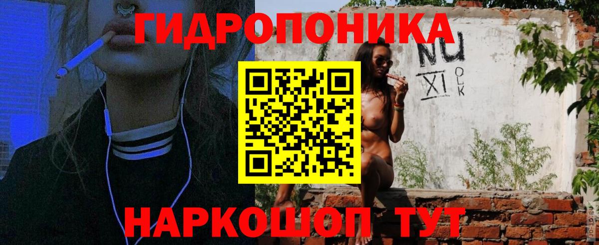 Марихуана сатива Дубна
